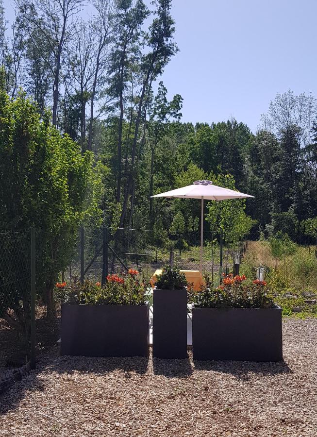 Agreable Petite Maison Proche Joigny Chamvres Bagian luar foto